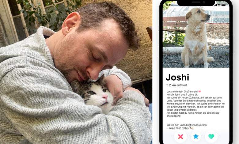 The Purrfect Match, l'application de rencontres pour trouver le « match » parfait avec votre futur animal à adopter