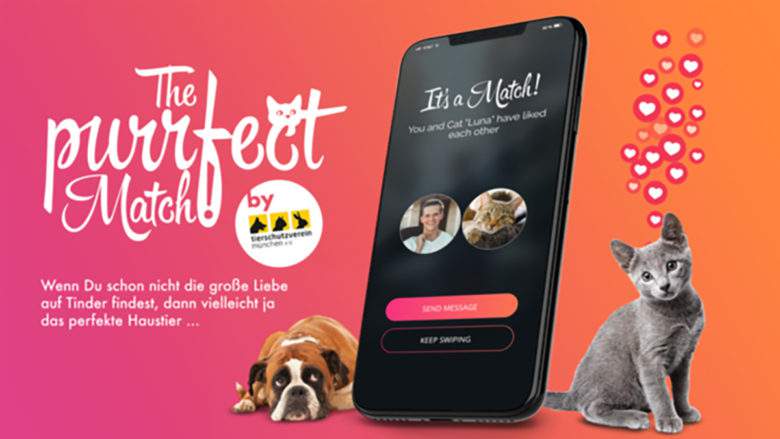 The Purrfect Match, l'application de rencontres pour trouver le « match » parfait avec votre futur animal à adopter