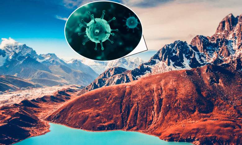 Himalaya : des dizaines de virus fossiles inconnus vieux de 15 000 ans découverts dans la glace