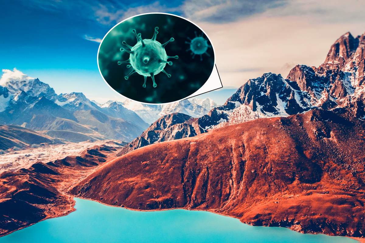 Himalaya : des dizaines de virus fossiles inconnus vieux de 15 000 ans découverts dans la glace