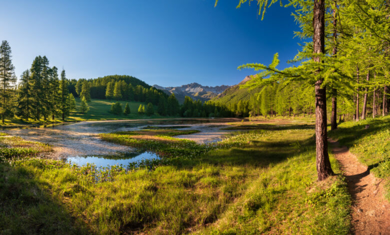 5 nouveaux sites classés pour protéger la biodiversité en France