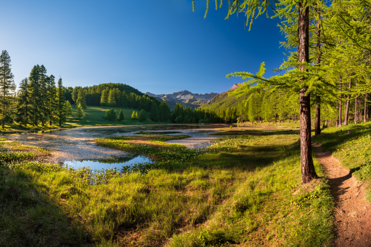 5 nouveaux sites classés pour protéger la biodiversité en France