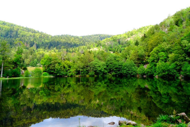 5 nouveaux sites classés pour protéger la biodiversité en France