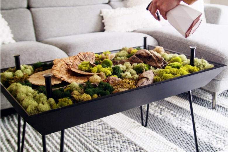 BloomingTables : un meuble pour cultiver un jardin (potager) directement sous la table à manger