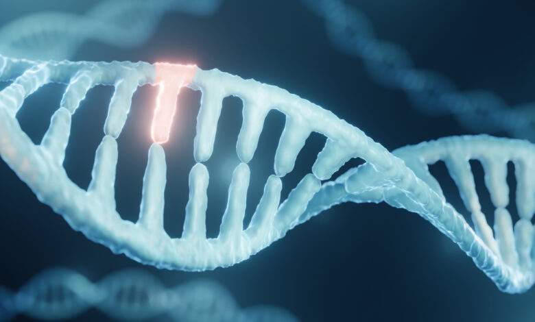 Ce "cimetière de virus" dans notre ADN se révèle crucial chez les mammifères