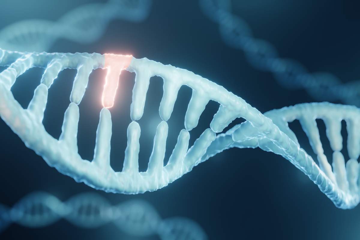 Ce "cimetière de virus" dans notre ADN se révèle crucial chez les mammifères