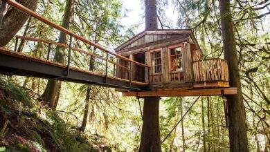 Cette entreprise fabrique d'incroyables cabanes et maisons dans les arbres pour réaliser votre rêve d'enfant