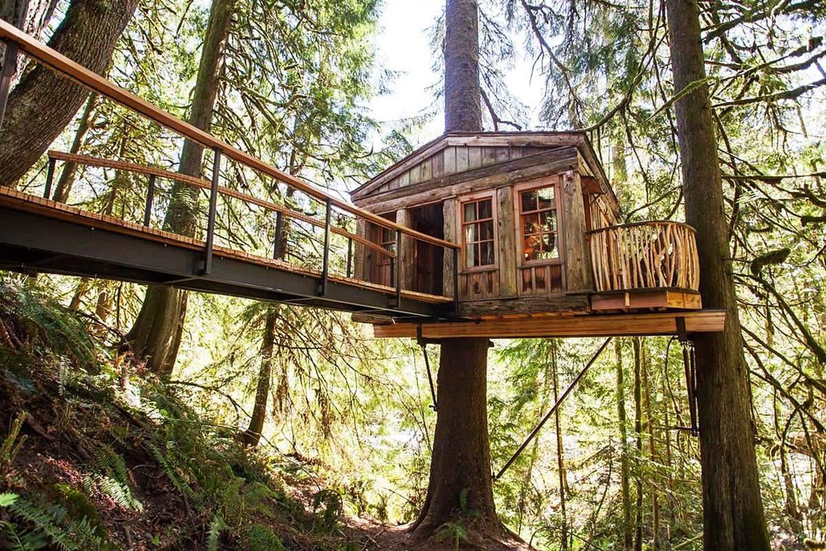 Cette entreprise fabrique d'incroyables cabanes et maisons dans les arbres pour réaliser votre rêve d'enfant
