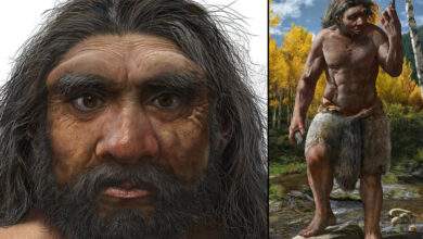 L'Homme dragon : une espèce préhistorique plus similaire à l'homme moderne que Néandertal