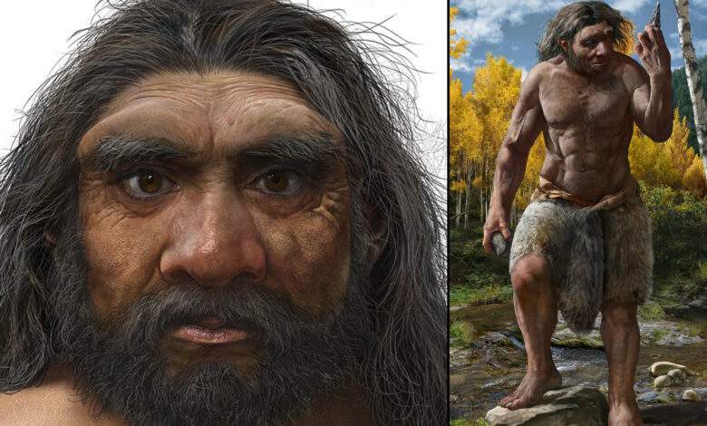 L Homme Dragon Une Espece Prehistorique Plus Similaire A L Homme Moderne Que Neandertal Neozone