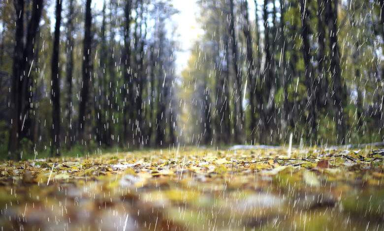 Une invention pour convertir les gouttes de pluie en courant électrique