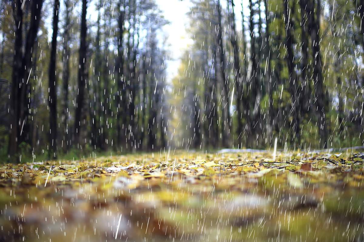 Une invention pour convertir les gouttes de pluie en courant électrique