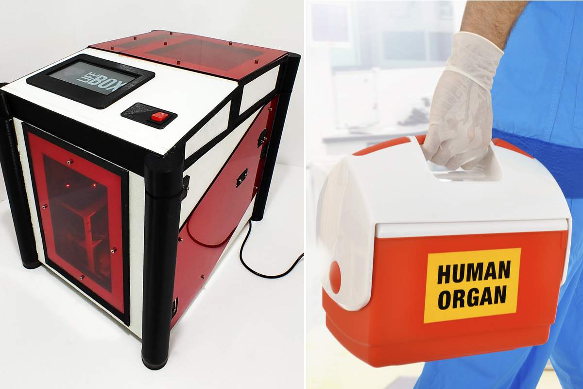 LifeBox : cette invention va grandement faciliter le transfert des organes à transplanter