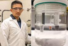 Yang Yang est professeur agrégé au NanoScience Technology Center