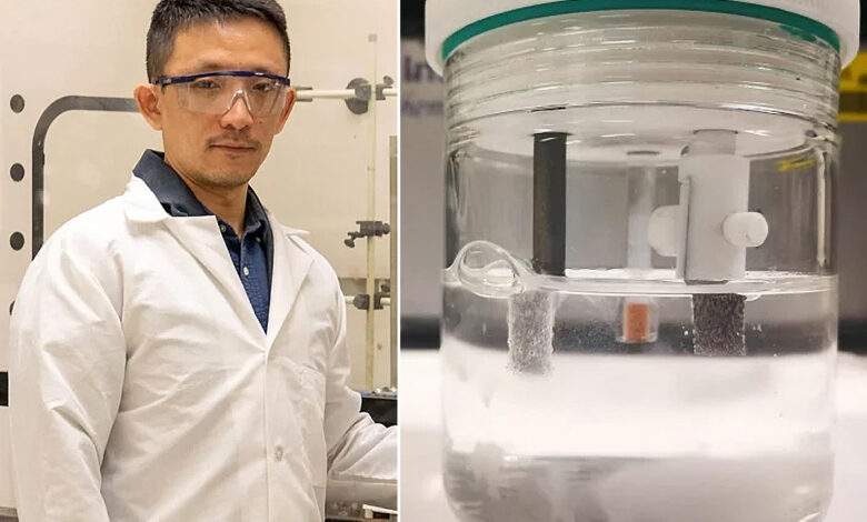 Yang Yang est professeur agrégé au NanoScience Technology Center