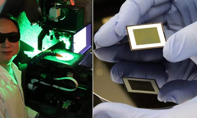 Panneaux solaires : nouveau record du monde avec des cellules photovoltaïques à double face