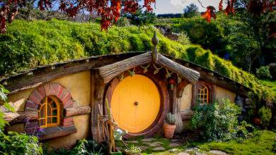 Plusieurs entreprises se lancent aujourd'hui dans la construction de maison de hobbit