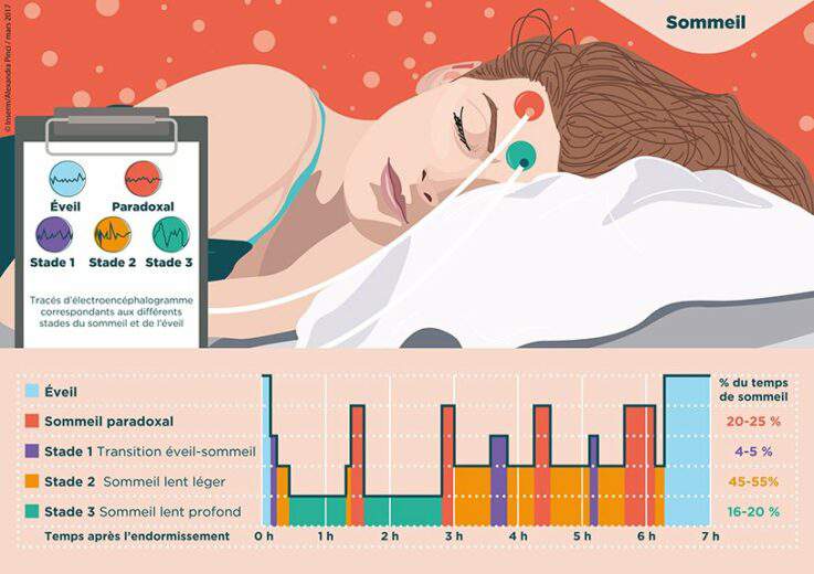 Sommeil : Combien de temps pour récupérer après une série de mauvaises nuits?