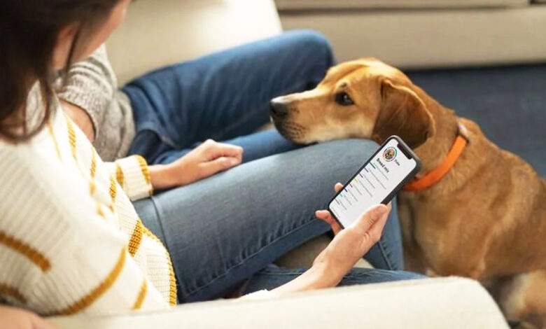 Un test ADN pour détecter certaines maladies et prolonger la vie de nos chiens