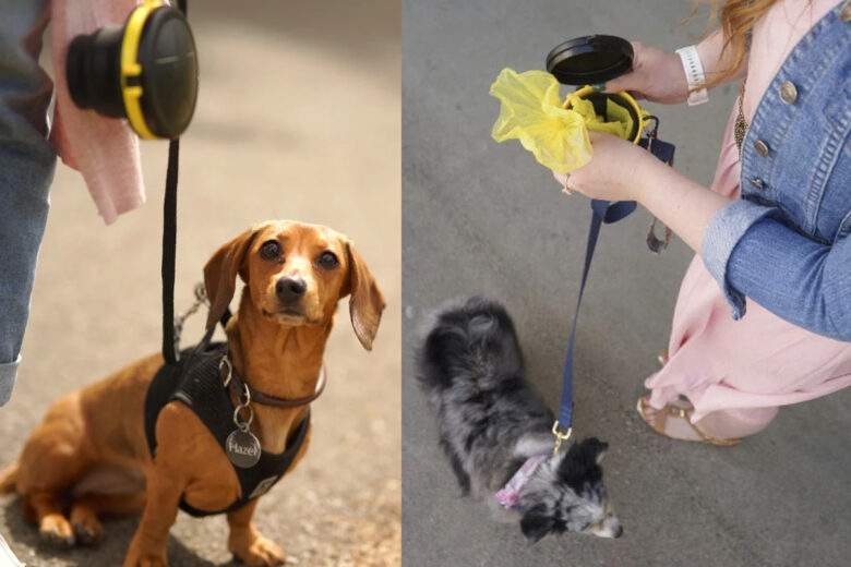 Walk Star, une poubelle portable pour les déjections canines.