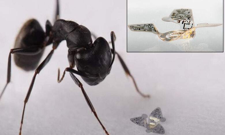 Un nano-drone plus petit qu'une fourmi