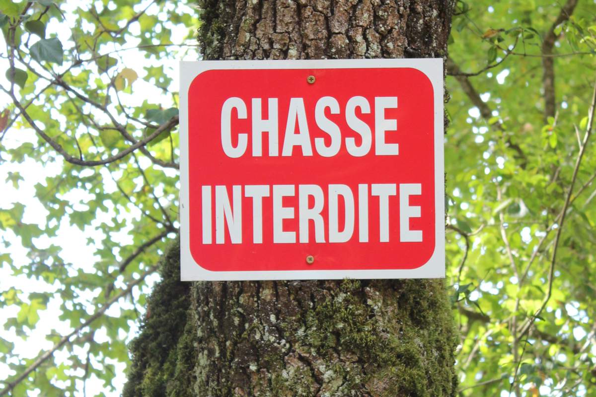 Un panneau d'avertissement français qui indique que la chasse est interdite.