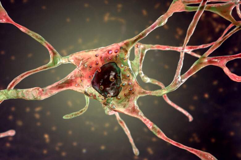 Neurone sain avec lysosomes, cellule cérébrale, illustration 3D, vue en gros plan.