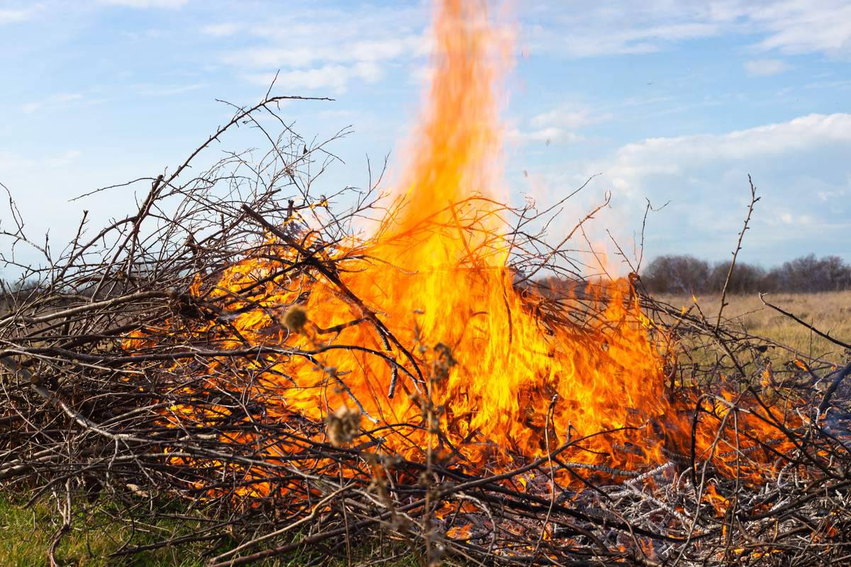 Brûler des branches sèches