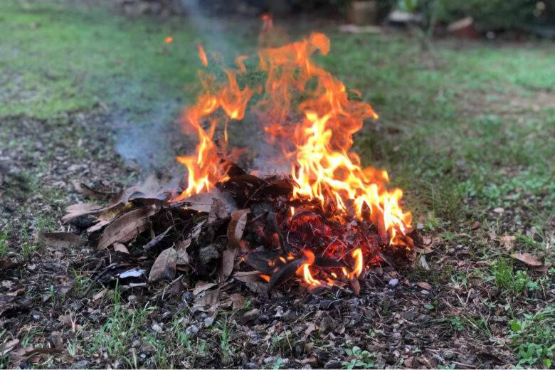 feu de feuilles séchées