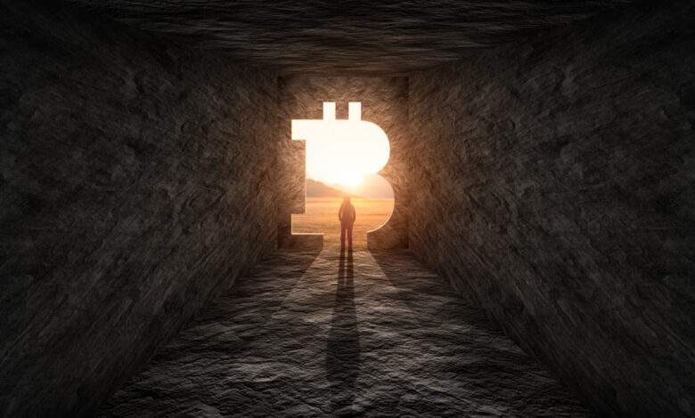 Légalisation du Bitcoin au Salvador : le créateur de l’Ether critique la nouvelle loi du pays