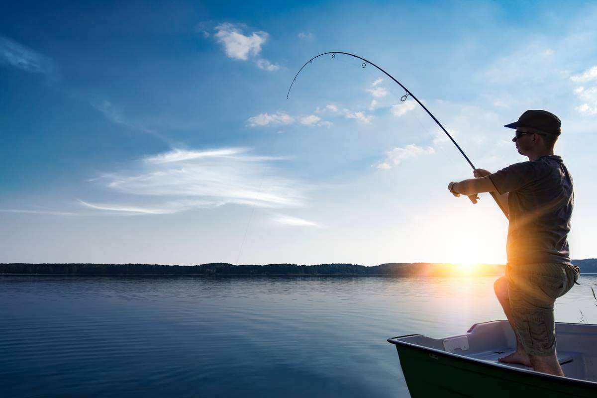 Faut-il choisir une canne à pêche spinning ou casting pour la