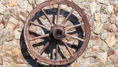 Roue de charriot