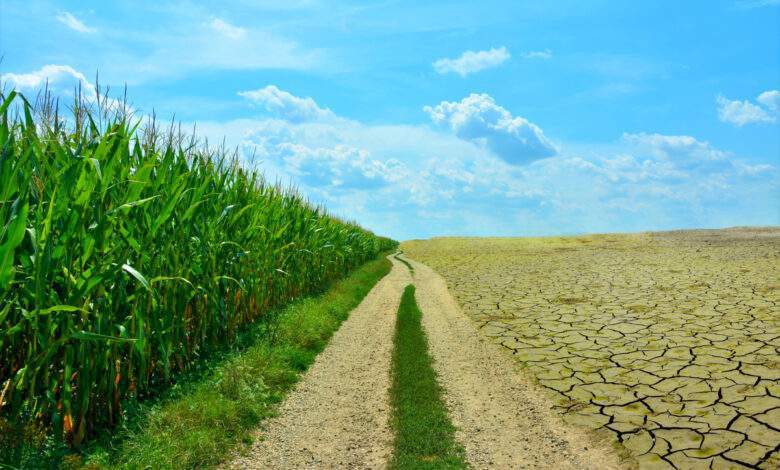Une image représentant la différence entre la nature verte et les terres arides (sécheresse, pollution)