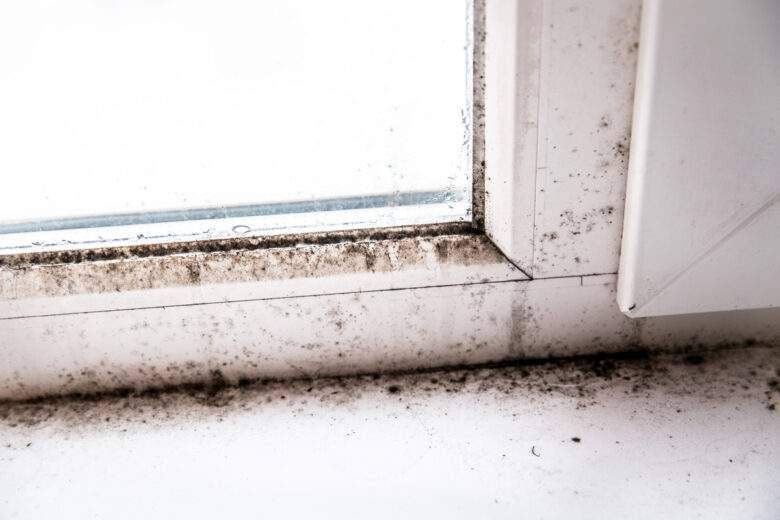 Humidité moule dans le coin de la fenêtre