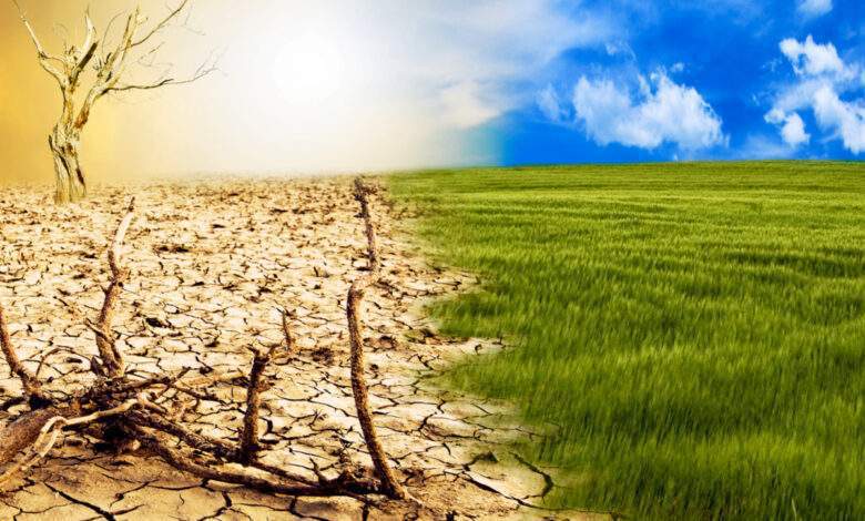 Transition d'un environnement vert au climat hostile et aride dû au changement climatique