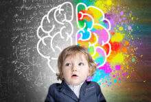 Cerveau : Il existe 8 types d'intelligence, quelle est la votre ?
