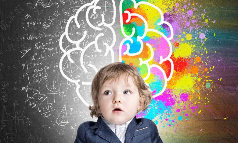 Cerveau : Il existe 8 types d'intelligence, quelle est la votre ?