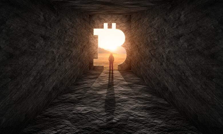 70 entreprises forment un consortium pour tenter de convertir les Japonais à la cryptomonnaie !