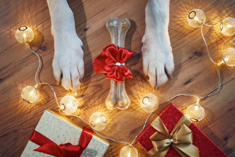 Votre chien à (aussi) le droit à un petit cadeau pour Noel