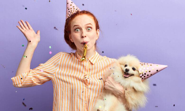 Votre chien à (aussi) le droit à un petit cadeau pour Noel