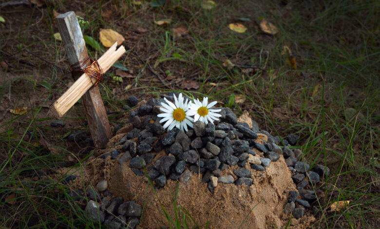 a tombe de l'animal de compagnie