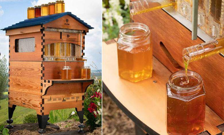 Une ruche Flow Hive et des pots de miel