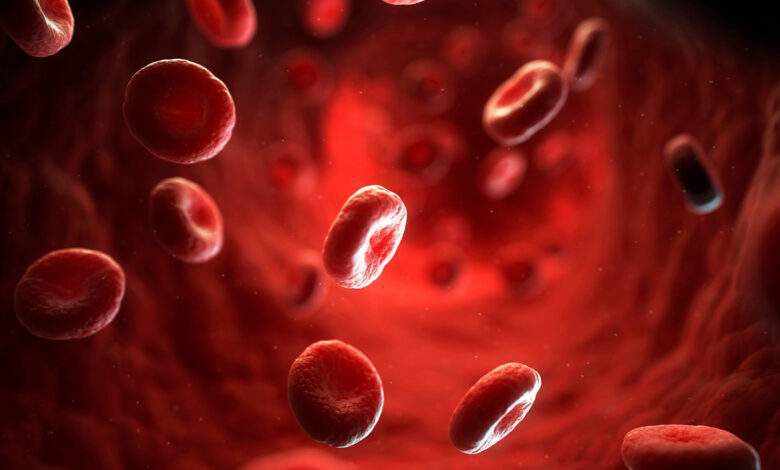 Illustration 3D de globules rouges