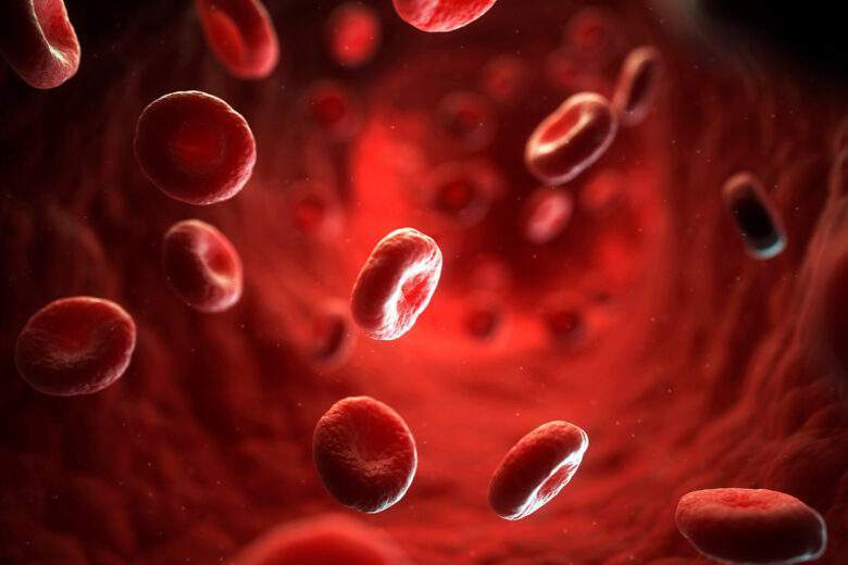 Illustration 3D de globules rouges