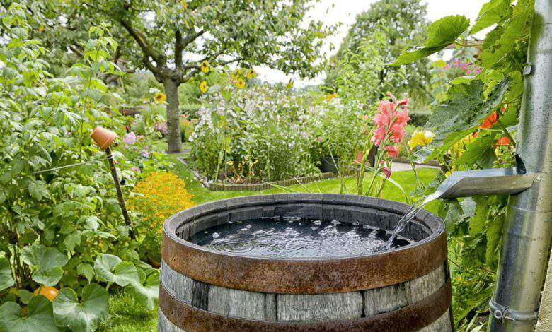 création jardin zen