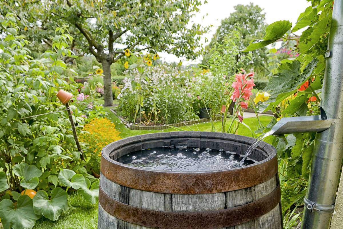 création jardin zen