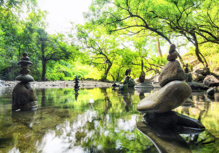 création jardin zen