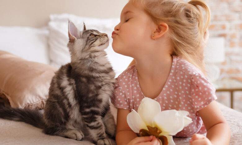 Petite fille se reposant sur le lit avec son chaton. L'enfant embrasse un chat