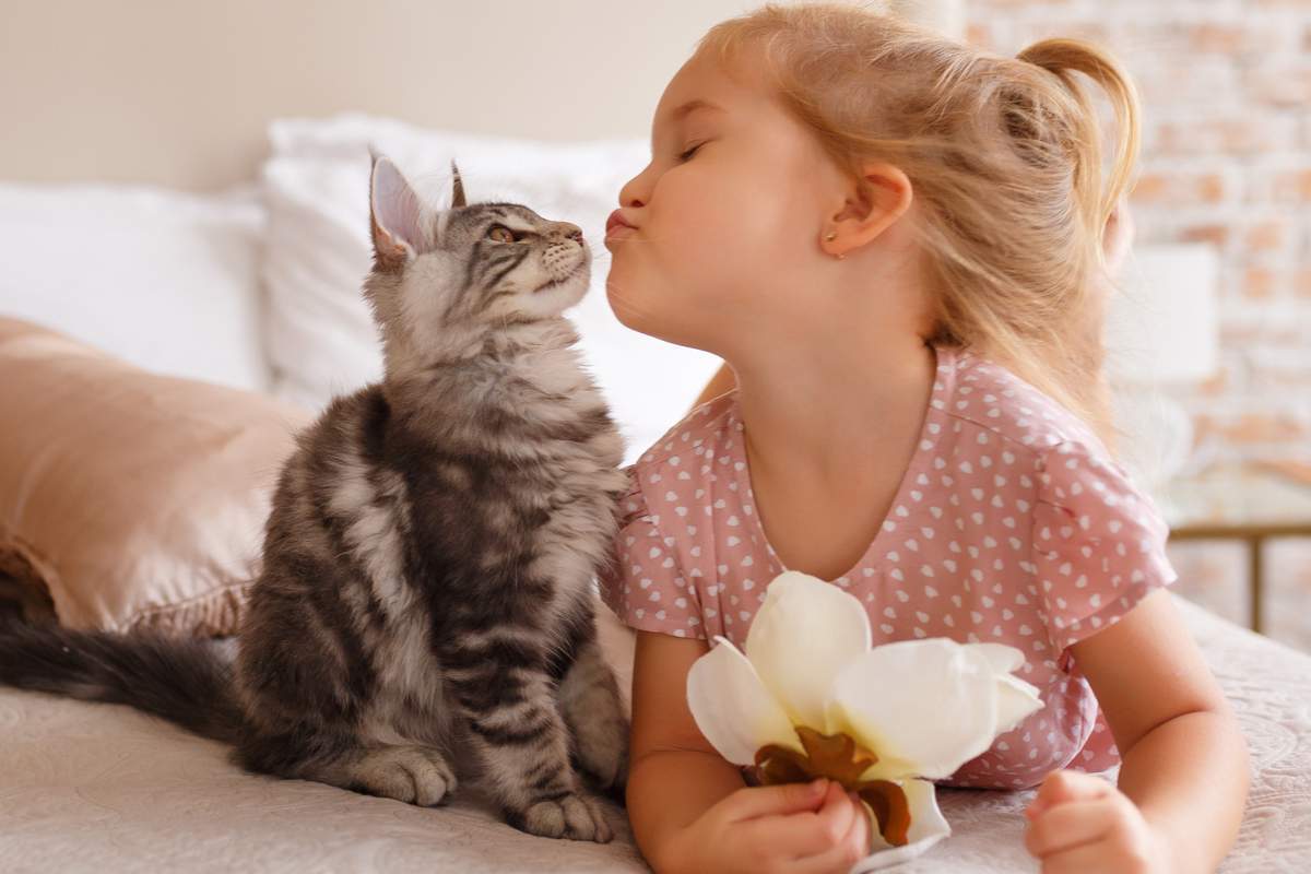 Petite fille se reposant sur le lit avec son chaton. L'enfant embrasse un chat