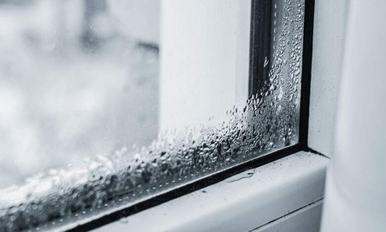 Condensation sur une fenêtre